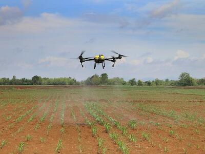 Uso de drones agrícolas tem crescido exponencialmente no país. Foto: iStock