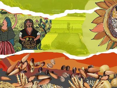 Organizaciones campesinas e indígenas rechazan propuesta del SAG que amenaza las semillas campesinas