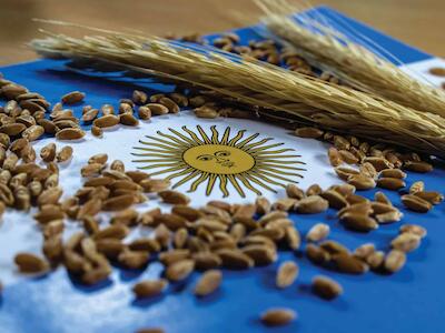 Pablo Torello, exdiputado PRO: “El Gobierno está siendo objeto del lobby de las grandes semilleras”