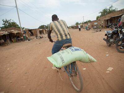 ¿Pueden los sistemas alimentarios africanos prosperar sin fertilizantes químicos?