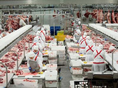 Foto: Reprodução/National Geographic