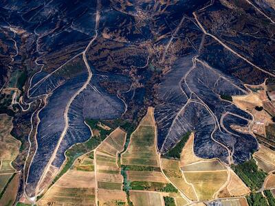 ¿Qué mayor patriotismo que el de gestionar el territorio para un futuro que no arda?