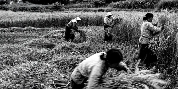 ¿Quién decide sobre el territorio?