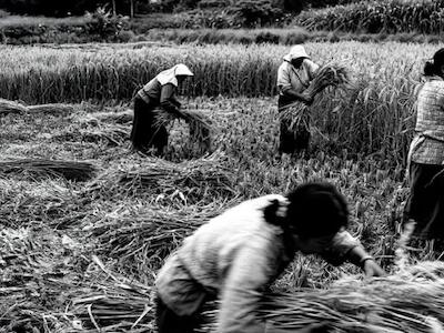 ¿Quién decide sobre el territorio?