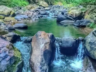 La organización también advirtió que otra de las principales afectaciones se reflejaría en la  salud pública. Foto Diario Co Latino / Cortesía