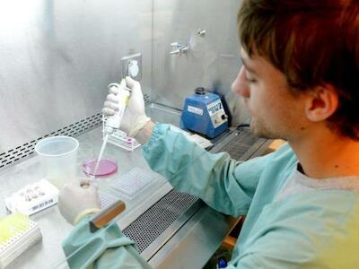 Récord biotecnológico: en dos años, Argentina aprobó más de un cuarto de los OGM de su historia