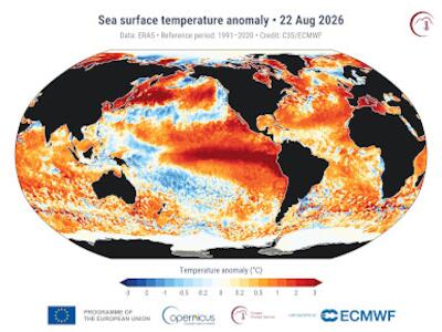 Récord histórico de calor en la superficie marina global en un día