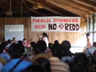 REDD+ Jurisdiccional como condición para acceder a derechos