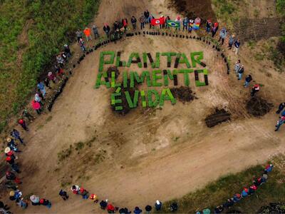 Região atingida pela mineração em Minas Gerais é transformada com plantio de árvores do MST 