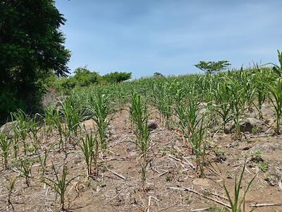 Retos y propuestas para prevenir desastres en El Salvador frente a la nueva realidad climática