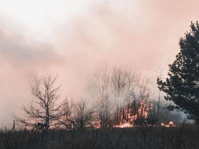 Riesgos y vulnerabilidades frente a la oleada de incendios forestales en el mundo