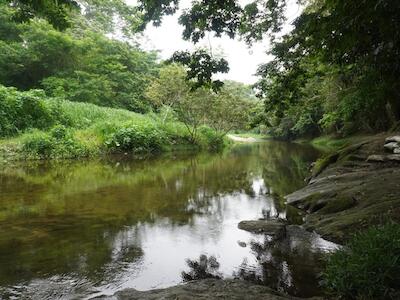 Santa María Chimalapa defiende su río y territorio ancestral frente a megaproyectos e invasiones