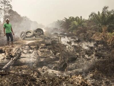 Ser complacientes con las empresas no va a salvar a la biodiversidad