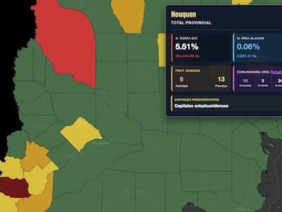 SEXTO INFORME: Neuquén en la mira: la crítica situación de los departamentos de Lácar y Collón Curá