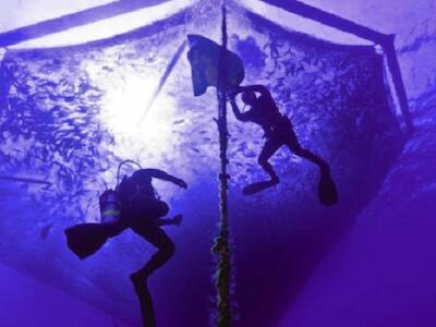 Siete muertos en un mes: el costo humano de la industria salmonera