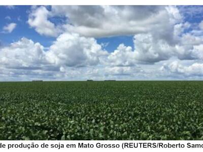 SLC e Bom Futuro Disputam Compra de Terras do Grupo Radar por R$ 1,85 Bilhão