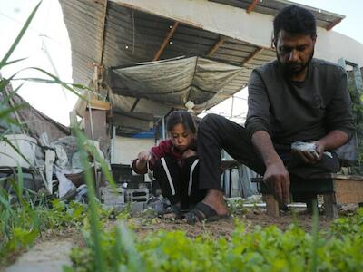 © OIM Un hombre y su hija en Gaza cultivan verduras en un huerto junto a su refugio.