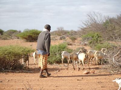  Somalia se desintegra al borde de otra hambruna