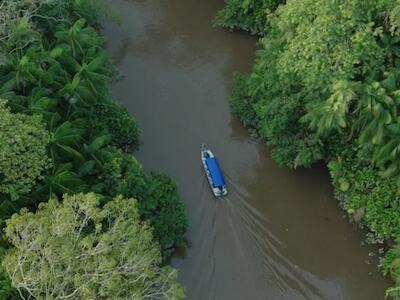 Unep/Thomas Mendel Actualmente los bosques ocupan un lugar central en los esfuerzos mundiales contra el cambio climático y la pérdida de biodiversidad.