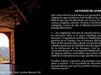 Suplemento Ojarasca #347