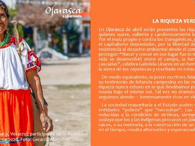 Suplemento Ojarasca #348