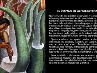 Suplemento Ojarasca #352