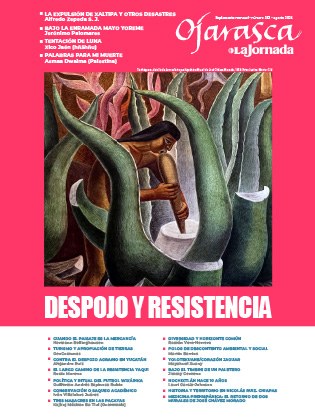 Suplemento Ojarasca #352
