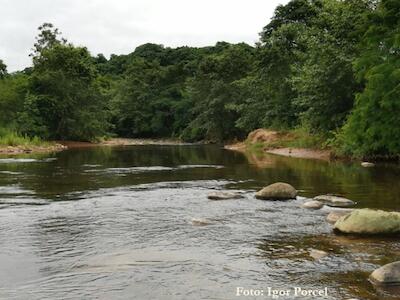 Tariquía: Fiscalía presenta acusación formal en contra de 12 defensores y crece rechazo contra petroleras