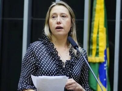 A especialista em agrotóxicos, Larissa Bombardi, defede o banimento do uso de glifosato no Brasil | Crédito: Pablo Valadares /Câmara dos Deputados