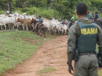 Terras Indígenas: o inferno que o bolsonarismo legou