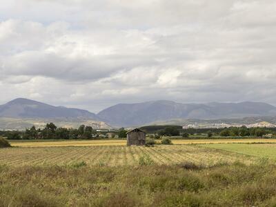Campos de cultivo andaluces. David F. Sabadell