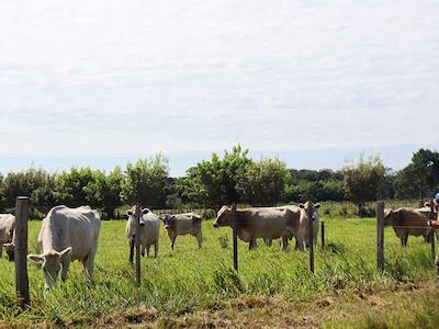 TIERRA advierte que conversión de propiedades agrarias carece de sustento técnico y favorece intereses privados