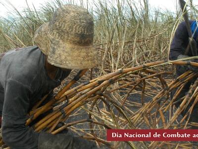 Trabalho Escravo Contemporaneo