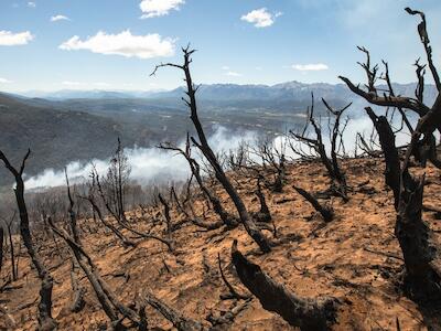Tras dos meses de incendios y 50 mil hectáreas arrasadas, decretan la Emergencia Ígnea 