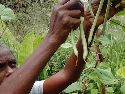 Un colectivo de mujeres convierte media hectárea en un movimiento