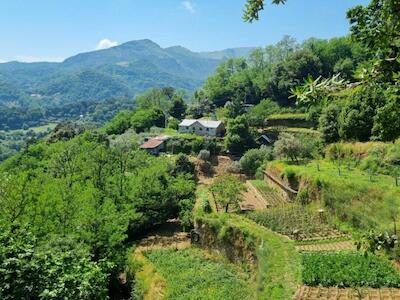 UNDROP: sin tierra, sin semillas, no hay futuro campesino