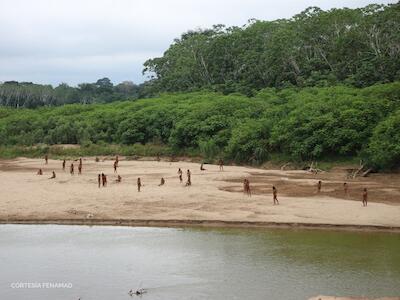 Urge detener extractivismo en pueblo Mashco Piro