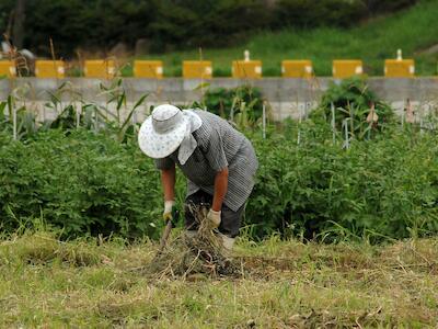 Capítulo 10 | El gobierno del agronegocio: de la manipulación de las políticas públicas a la toma del poder