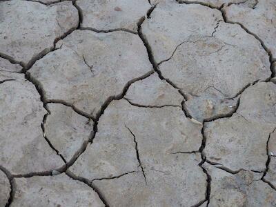 Capítulo 14 | Pruebas científicas del impacto ambiental y sanitario del agronegocio en los territorios y cuerpos