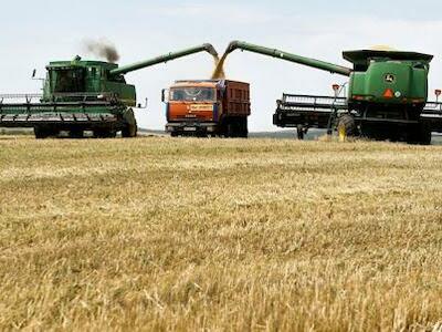 Capítulo 15 | Eje económico-financiero: cuánto representa en cada país el modelo del agronegocio