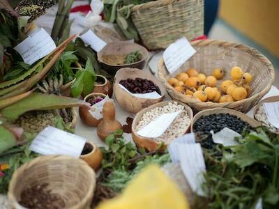 BiodiversidadLA: en defensa de los bienes comunes