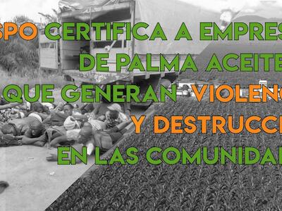 ¡Apoye la declaración! RSPO: 14 años de fracaso en eliminar la violencia y la destrucción generadas por el sector del aceite de palma industrial