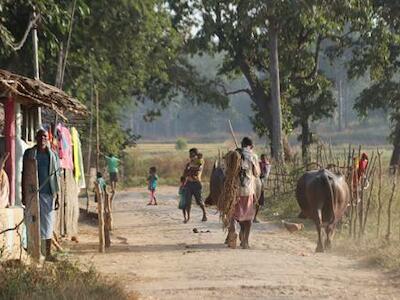 ¡Las comunidades de los bosques de la India necesitan tu apoyo urgente!