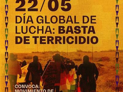  22 de Mayo - Día Global de lucha #BastaDeTerricidio
