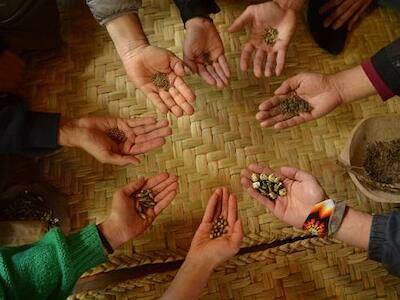 Foto del sitio: Agroecología