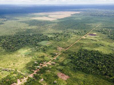 La pequeña comunidad de Gonçalves en la selva tropical está rodeada de plantaciones de palma aceitera de la empresa Agropalma. Foto: Cicero Pedrosa Neto / Global Witness