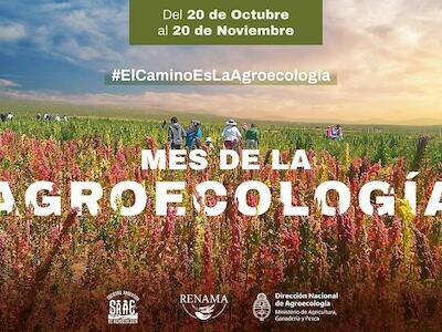 Adhesión a la Declaración "El camino es la Agroecología"