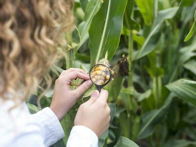 Agricultores orgánicos cuestionan la falta de regulación de las técnicas genómicas 