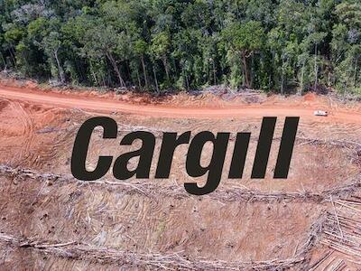 Beneficiario del fuego – Detengan al gigante de la soja Cargill