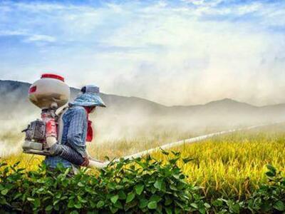 Un agricultor pulveriza un campo de arroz en Ganghwa-gun (Corea del Sur). Foto: Jong-Won Heo / GETTY